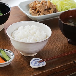 東屋 ご飯茶碗 大 志野