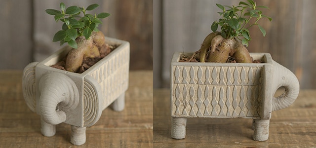 アフリカン雑貨特集