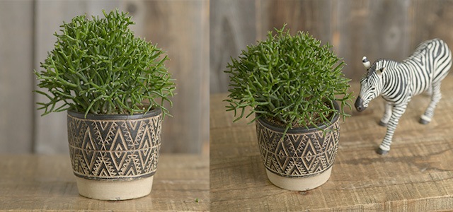 アフリカ　ケニア　アンティークプランター　インテリア アフリカ ケニア アンティークプランター インテリア アフリカ