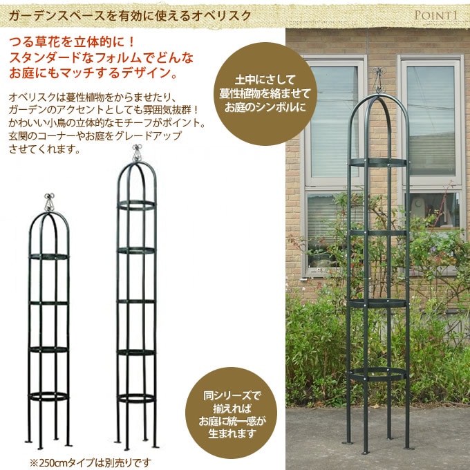 ガーデニングタワー 直径38×高さ200cm アイアンオベリスク/バラ ローズ 