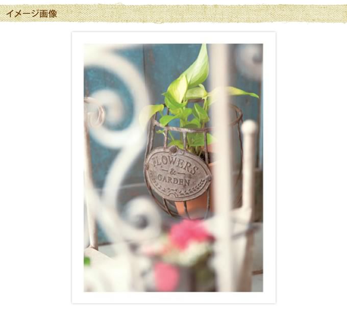 ����ƥ��������ɳݤ��Х����åȡ�S������  �ϥ󥮥� ��ȥ� ������졡������� �ץ�󥿡��ݥå� �ե��ݥå� �����ǥ� �����ǥ˥� �������ƥꥢ  