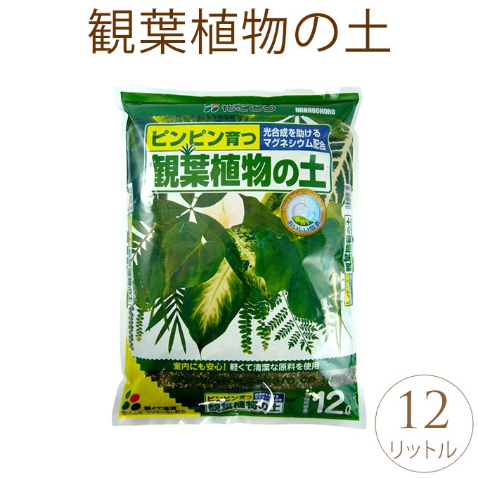 ぴんぴん育つ観葉植物の土 12リットル 土観葉植物 培養土 専用土 5リットル インテリア 室内 鉢植え 園芸 ガーデニング ガーデニング プランター鉢 ポット ガーデン用品屋さん