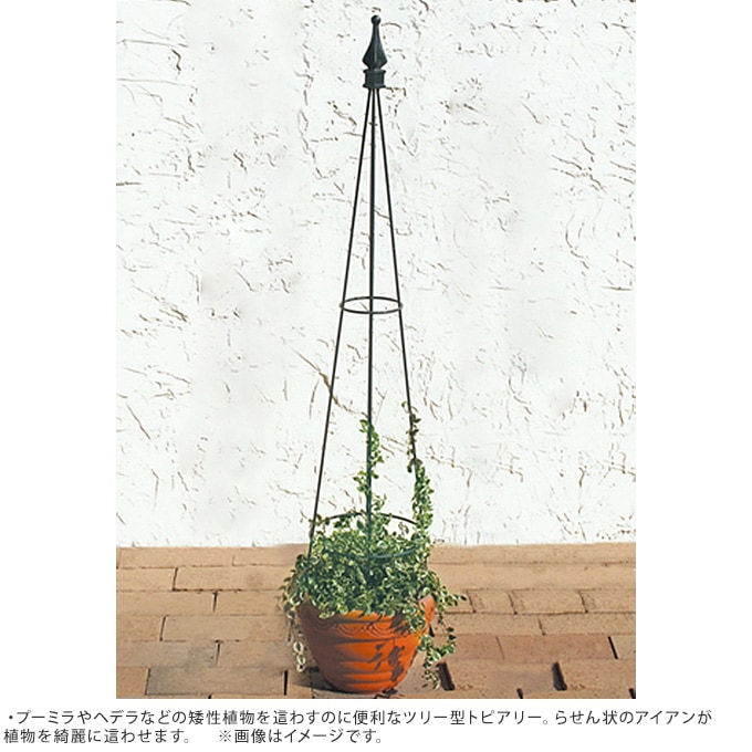 ȥԥ꡼60cm  