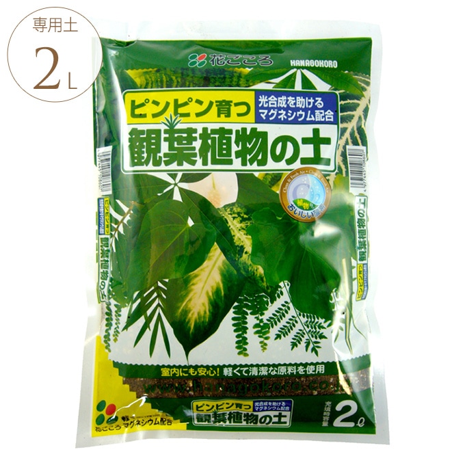 葉っぱ喜ぶ 観葉植物の土 2リットル 観葉植物 専用用土 マグネシウム 光合成 助ける 葉 濃くなる 室内でも 軽い 安心 初期肥料入り ガーデニング プランター鉢 ポット ガーデン用品屋さん