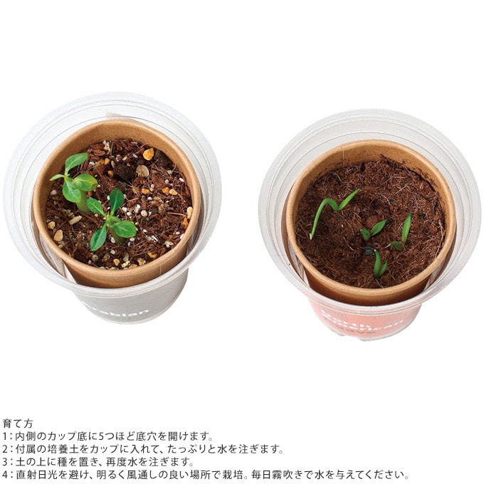 かわいい 栽培セット 世界の植物 栽培キット 簡単 安心 安全 かわいい 気軽 手ごろ 手軽 楽しい ガーデニング 球根 種 ガーデン用品屋さん