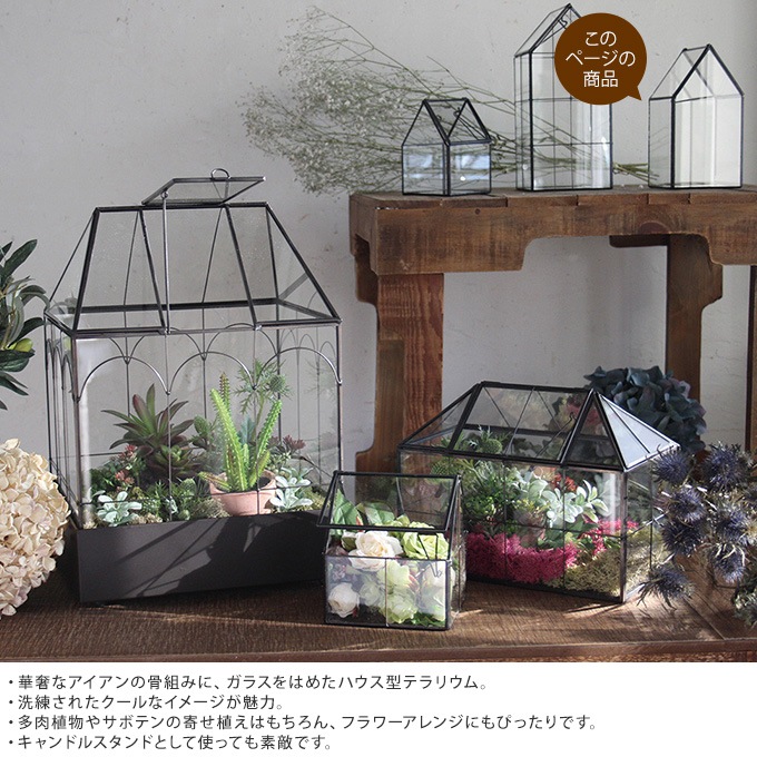 デザインハウス ストックホルム グロウ グリーンハウス クリアsサイズテラリウム ハイドロ 多肉植物 サボテン ガラス プランター 透明 容器 ケース ボックス 誕生日プレゼント