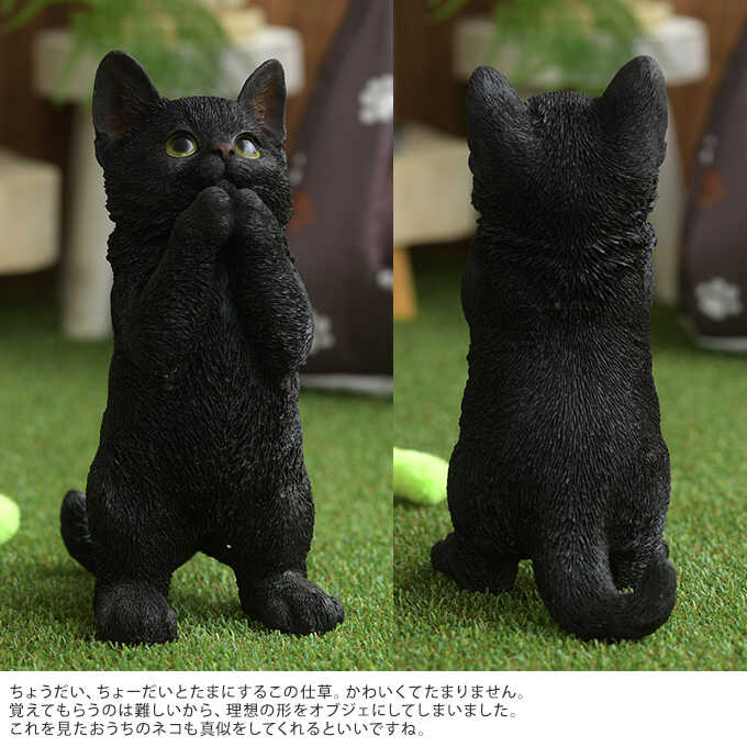 本物そっくり 子ネコ おねだり ちょーだい 黒猫 猫 置物雑貨 グッズ かわいい おしゃれ オブジェ インテリア 飾り オーナメント ガーデニング すべての商品 ガーデン用品屋さん