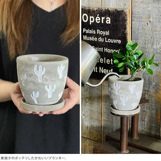 コンクリート 鉢 陽気なサボテン プランター L おしゃれ受け皿付き かわいい フラワーポット 底穴あり すべての商品 ガーデン用品屋さん