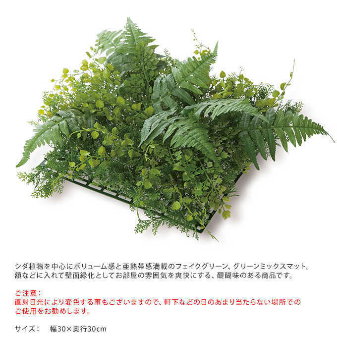 壁面アレンジ Q レクタン グリーン 60×30cm (人工植物) 観葉植物