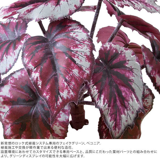 造花 植物 ロックプランツ ベコニア フェイクグリーンインテリア