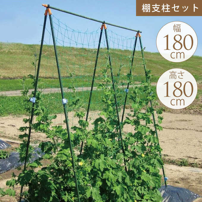 園芸 野菜のアスレチック つるもの 棚支柱 セット 高さ210cm 幅180cm