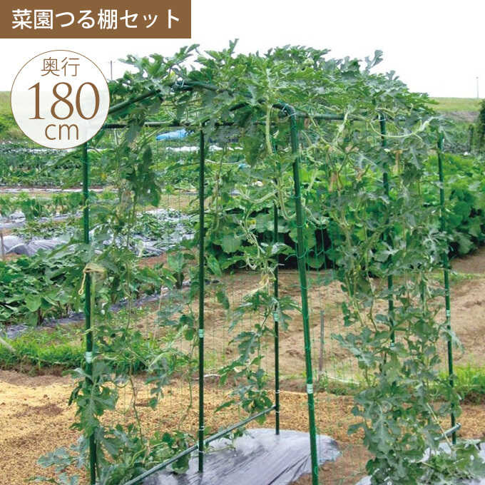 outlet】 園芸 野菜のアスレチック 菜園つる棚 セット 奥行180cm