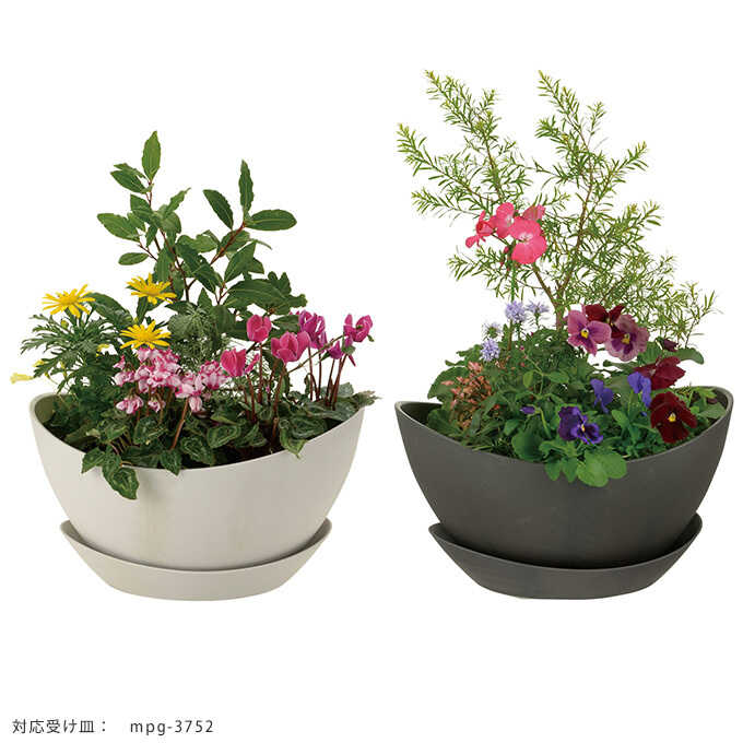 半額】 寄せ植え プランター ラフィニー ボウル M 植木鉢底穴あり/鉢/シンプル/プランターポット/受け皿別売り/ | ガーデニング,プランター鉢・ポット  | ガーデン用品屋さん