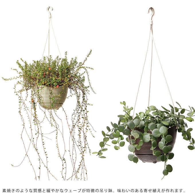 ハンギング プランター プラ鉢 釣り鉢 6号 プラスチック吊り下げ 軽量 エアプランツ 軽い ガーデニング プランター鉢 ポット ガーデン用品屋さん
