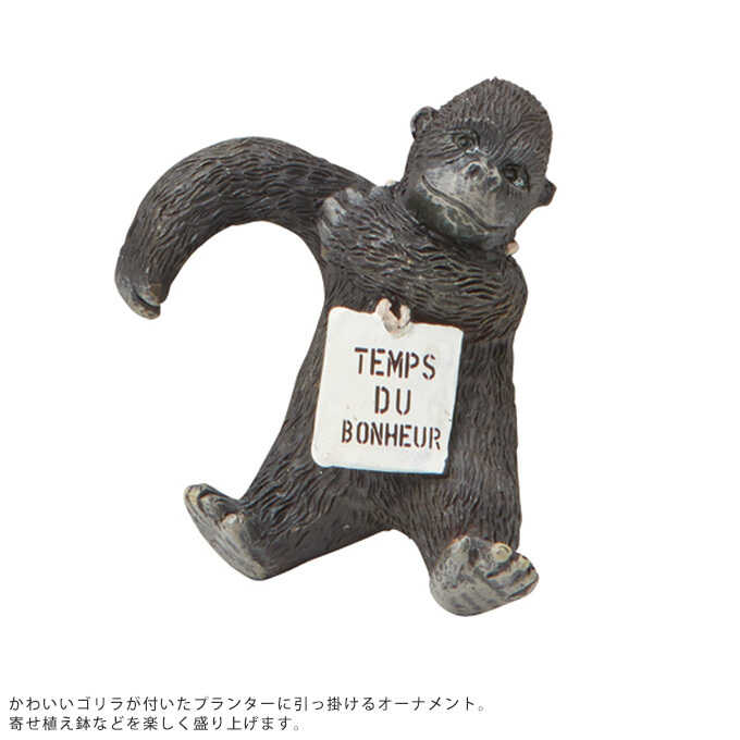 ゴリーユフック すべての商品 ガーデン用品屋さん