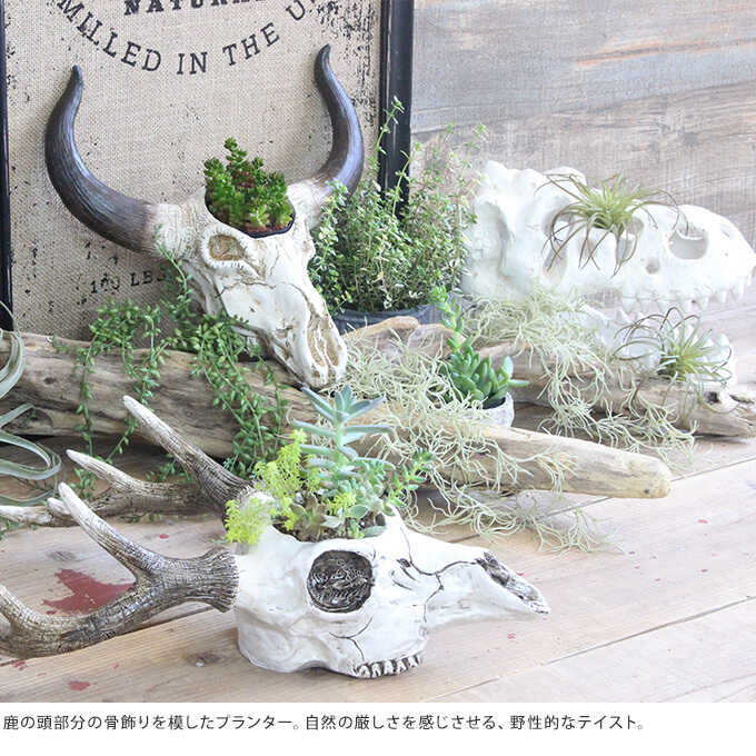 レジン スカルプランター 牛 置物 オーナメント アンティーク 花器