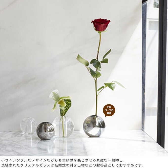 花瓶 一輪挿し ガラス 球 ノーヴァ L 直径10cm 球体丸 おしゃれ 玄関 ガラス花瓶 一輪 挿し ガーデン雑貨 ガーデン用品屋さん