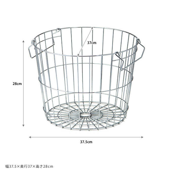 å Хå 磻䡼 ߷ ľ37cm  ɥ꡼   ץ  Ǽ    