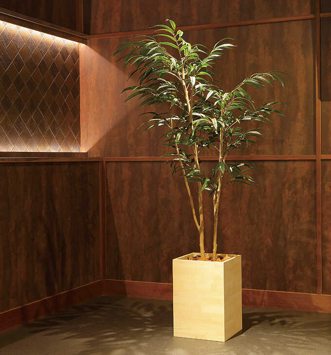 フェイクグリーン 鉢植え 大型 ウッドボックス ウンベラータ 1.8m 人工 