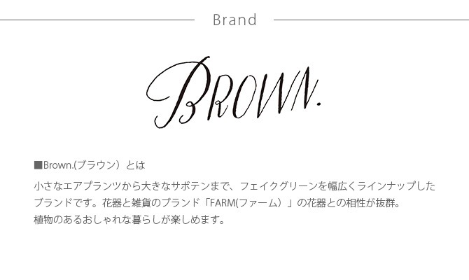 Brown. ֥饦 ٥ ݥå 48   տʪ ¤ ꡼  ƥꥢ ǥץ쥤  ¿ʪ    