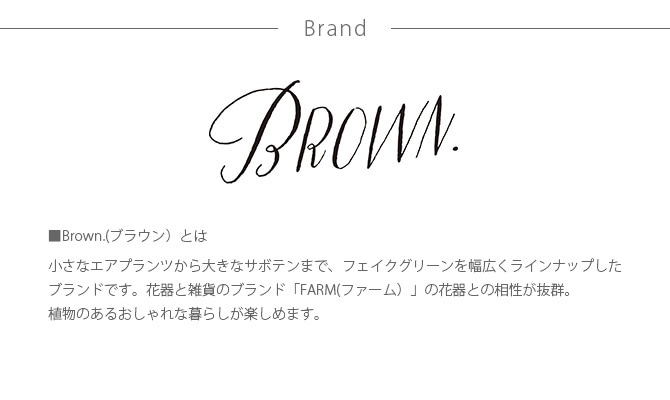 Brown. ֥饦 쥵ܥƥ ݥå 76  տʪ ¤ ꡼  ƥꥢ ǥץ쥤  ¿ʪ    