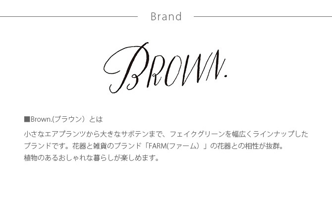 Brown. ֥饦 쥵ܥƥ ݥå 91  տʪ ¤ ꡼  ƥꥢ ǥץ쥤  ¿ʪ    
