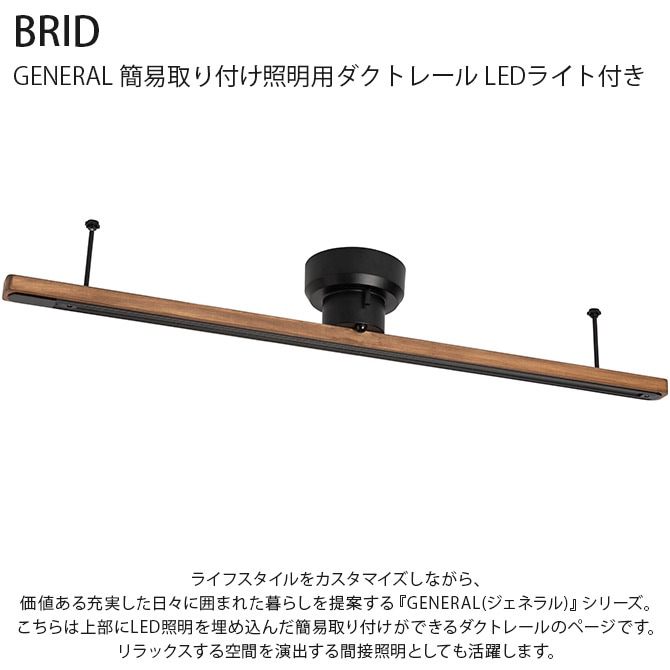 BRID ֥å GENERAL ʰ׼դѥȥ졼 LED饤դ  ŷ饤 LED ŷ  饤 ⥳ ̲ ƥꥢ ܾ ŵ忧    