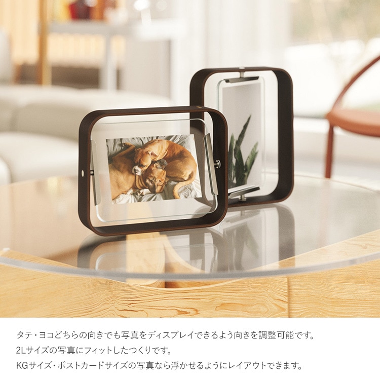 Umbra ����֥� �٥륦�å� �ǥ����ե졼�� 10x15cm  �̿�Ω�� ��� ���֥��� Ω�Ƥ��� ������� �ե��ȥ������ ���� �ե졼�� ���� �ǥ��� ���� ��ӥ� ����ƥꥢ 2L �ݥ��ȥ�����  