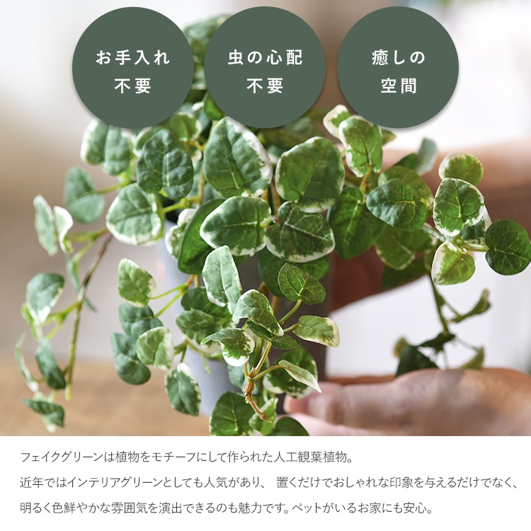 【値下げ！】フェイクグリーン　鉢付き　小 観葉植物 フェイクグリーン エバーフレッシュ Lサイズ(180cm) 鉢付き