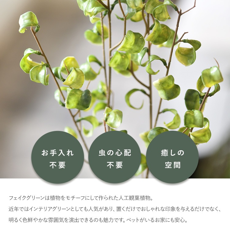 ե ݥå ߥ 4  ͹տʪ ȭ ƥꥢ꡼     ȭ ȭ ܥ˥  ¤ ե ͹ ʪ ӥ  ե Ź  