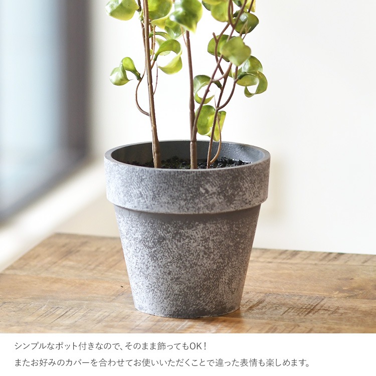 ե ݥå ߥ 4  ͹տʪ ȭ ƥꥢ꡼     ȭ ȭ ܥ˥  ¤ ե ͹ ʪ ӥ  ե Ź  