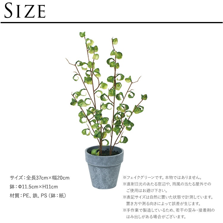 ե ݥå ߥ 4  ͹տʪ ȭ ƥꥢ꡼     ȭ ȭ ܥ˥  ¤ ե ͹ ʪ ӥ  ե Ź  