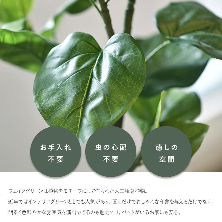 ٥顼 ݥå  ͹տʪ ȭ ƥꥢ꡼     ȭ ȭ ܥ˥  ¤ ե ͹ ʪ ӥ  ե Ź  