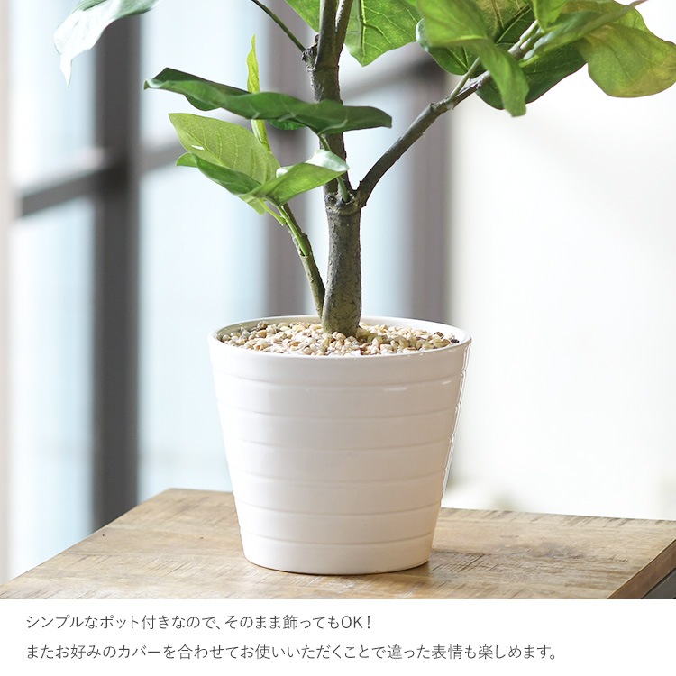 ٥顼 ݥå  ͹տʪ ȭ ƥꥢ꡼     ȭ ȭ ܥ˥  ¤ ե ͹ ʪ ӥ  ե Ź  