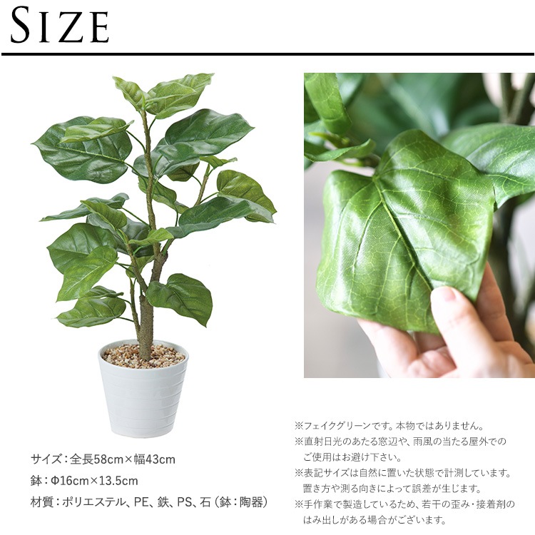 ٥顼 ݥå  ͹տʪ ȭ ƥꥢ꡼     ȭ ȭ ܥ˥  ¤ ե ͹ ʪ ӥ  ե Ź  