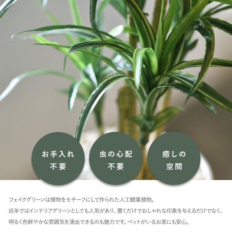 å ݥå ߥ 5  ͹տʪ ȭ ƥꥢ꡼     ȭ ȭ ܥ˥  ¤ ե ͹ ʪ ӥ  ե Ź  