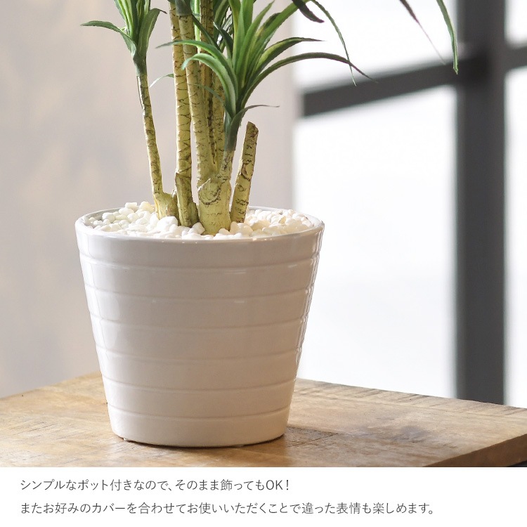 å ݥå ߥ 5  ͹տʪ ȭ ƥꥢ꡼     ȭ ȭ ܥ˥  ¤ ե ͹ ʪ ӥ  ե Ź  