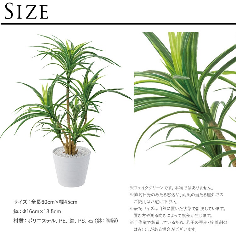 å ݥå ߥ 5  ͹տʪ ȭ ƥꥢ꡼     ȭ ȭ ܥ˥  ¤ ե ͹ ʪ ӥ  ե Ź  