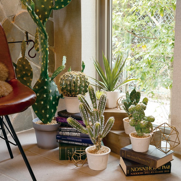 ¿����ʪ ���ץ�ƥ��� �ݥå� �ߥ� 4��  �͹����տ�ʪ ȭ���� ����ƥꥢ���꡼�� ��� ���� ������ ���� ȭ�� ȭ �ܥ��˥��� �� ¤�� �ե����� �͹� ��ʪ ��ӥ� ���� ���ե� Ź��  