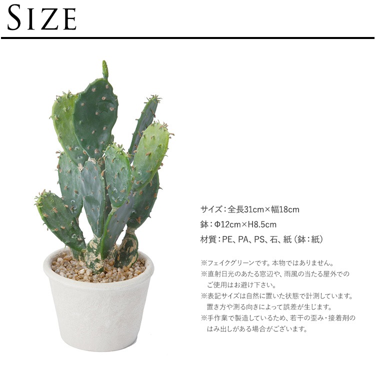 ¿����ʪ ���ץ�ƥ��� �ݥå� �ߥ� 4��  �͹����տ�ʪ ȭ���� ����ƥꥢ���꡼�� ��� ���� ������ ���� ȭ�� ȭ �ܥ��˥��� �� ¤�� �ե����� �͹� ��ʪ ��ӥ� ���� ���ե� Ź��  