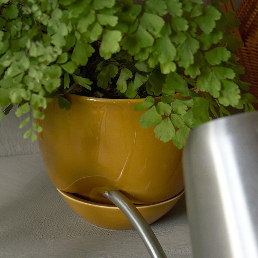 植木鉢 自動給水 ハイドロカルチャー 鉢 容器 Audo Copenhagen オドー