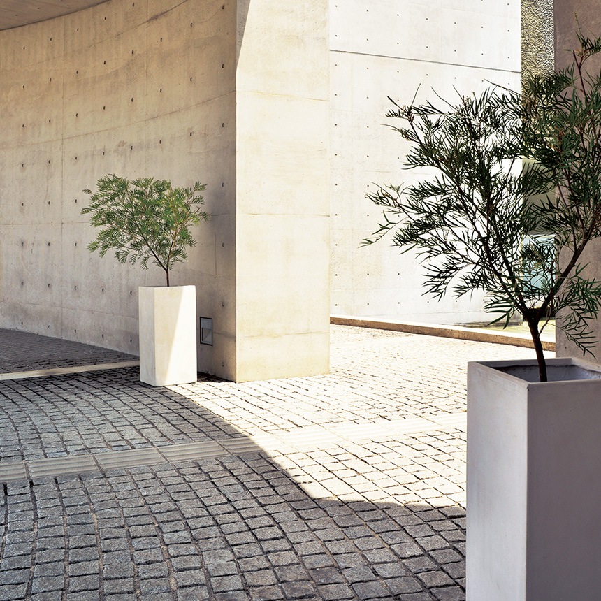 希少花形カットと淡雪のグラデーションが可愛い23cm ジャンボ鉢 と17cm大鉢 希少花形カットと淡雪のグラデーションが可愛い23cm ジャンボ鉢