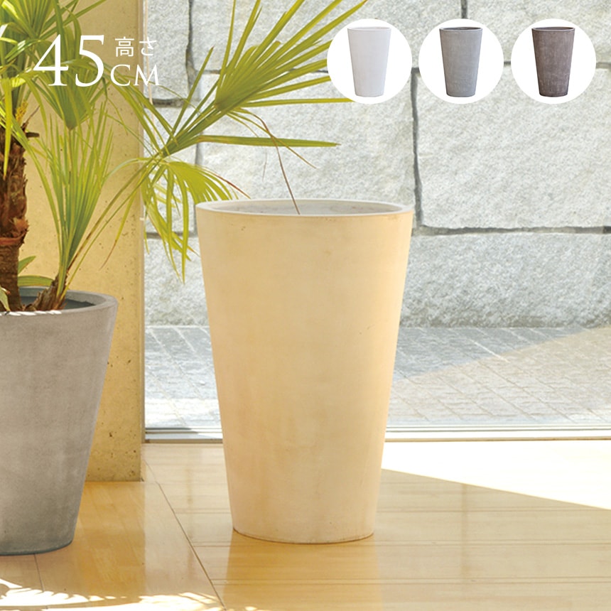 落葉樹 約1メートル 茶色の鉢 落葉樹 約1メートル 茶色の鉢 落葉樹 約1メートル 茶色の鉢