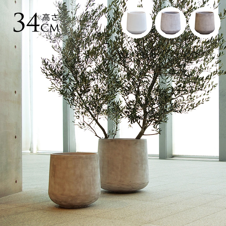 深鉢直径約１１.３センチ・高さ６.５センチ　五セット 深鉢直径約11.3センチ・高さ6.5センチ 五セット