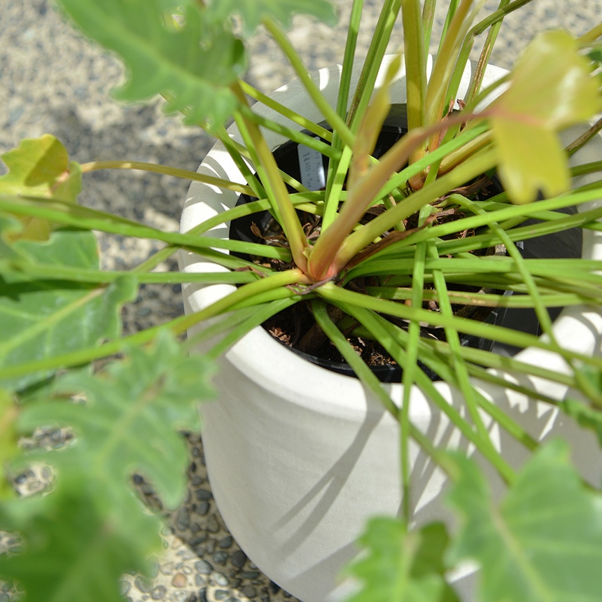 プランター 軽量 大型 植木鉢 寒さに強い テラメント ドロップ 直径