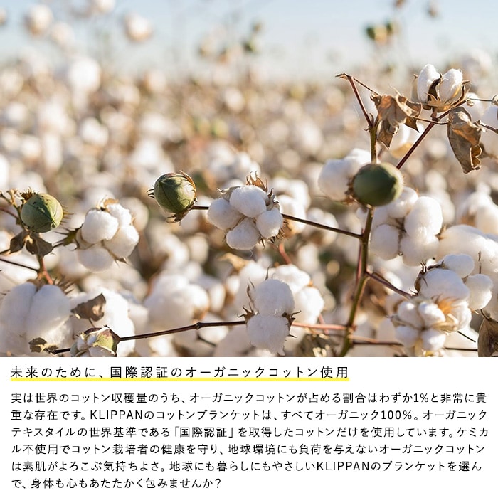 KLIPPAN ����åѥ� �����谷Ź ���åȥ󥷥󥰥�֥�󥱥å� �ե��쥹�ȥ��ס���  ������� �̲����� ������ ������ǽ ������ �����륷������ ��� �͵� ���������å� ������ �����谷Ź  