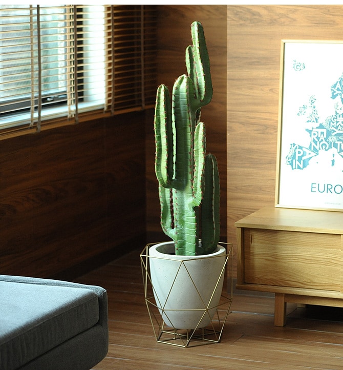 FARM �ե����� �磻�䡼�ե����ȥݥå�  ȭ �ץ�󥿡� ��ꤢ�� �ݥåȥ��С� ���� ���� �磻�䡼 ���� �����ǥ� �����ǥ˥� ��ʪ ���տ�ʪ ¿����ʪ ����ƥꥢ  