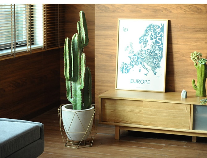 FARM �ե����� �磻�䡼�ե����ȥݥå�  ȭ �ץ�󥿡� ��ꤢ�� �ݥåȥ��С� ���� ���� �磻�䡼 ���� �����ǥ� �����ǥ˥� ��ʪ ���տ�ʪ ¿����ʪ ����ƥꥢ  