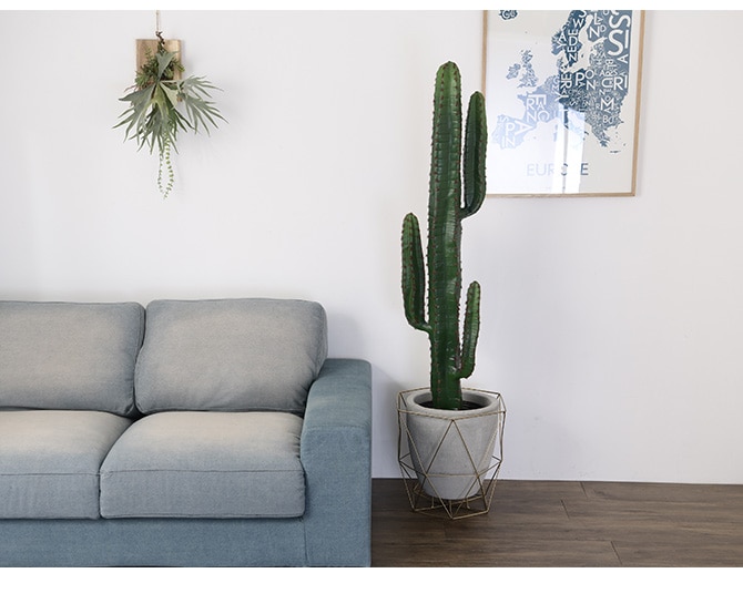 FARM �ե����� �磻�䡼�ե����ȥݥå�  ȭ �ץ�󥿡� ��ꤢ�� �ݥåȥ��С� ���� ���� �磻�䡼 ���� �����ǥ� �����ǥ˥� ��ʪ ���տ�ʪ ¿����ʪ ����ƥꥢ  