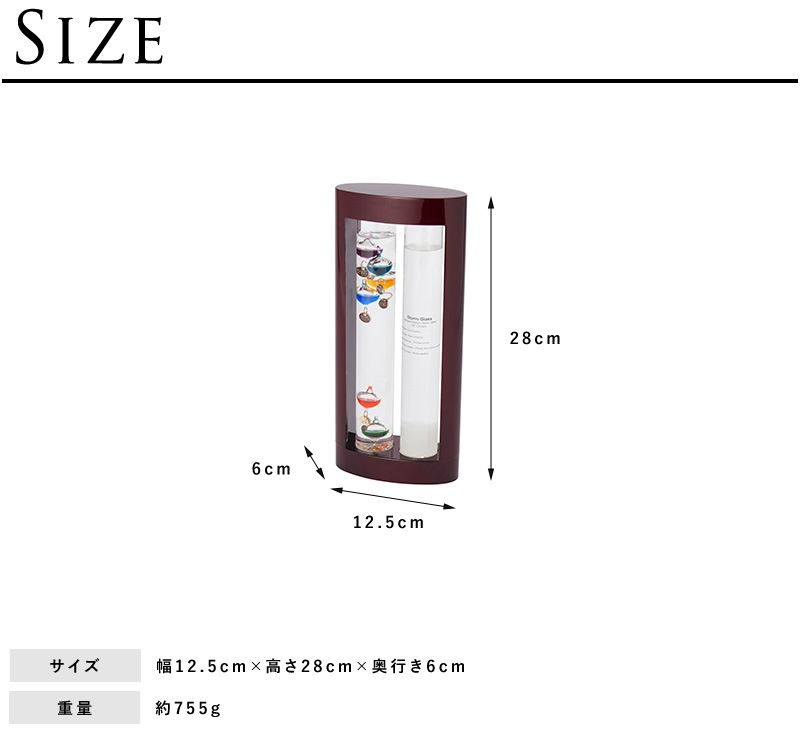 ����쥪���ٷס����ȡ��॰�饹 12.5cm��28cm  ����ƥꥢ ���� ŷ�� ���� ͽ�� ͽ�� ���� ���� ʪ�� ���� ��ӥ� ���ե��� ��̳�� ���ե� �������� �ΰ� ��Ū ��� �Ҷ�  